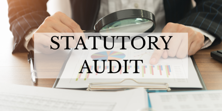 Statutory Audit