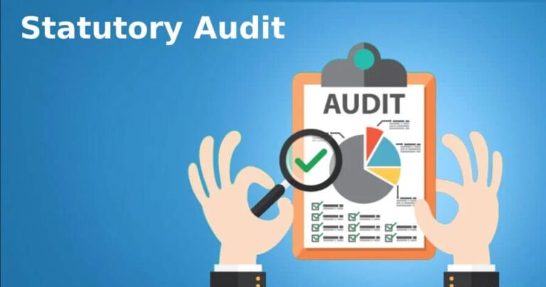 Statutory Audit of Corporate Debtor