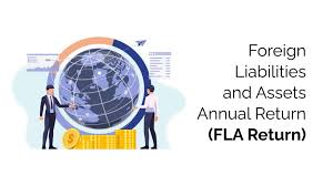 Foreign Liabilities and Assets (FLA) Return Filing